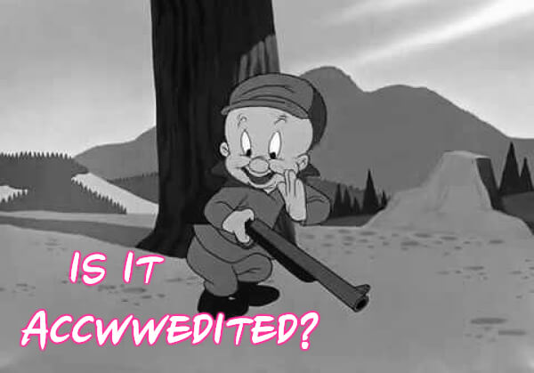 tefl accwweditation and elmer fudd